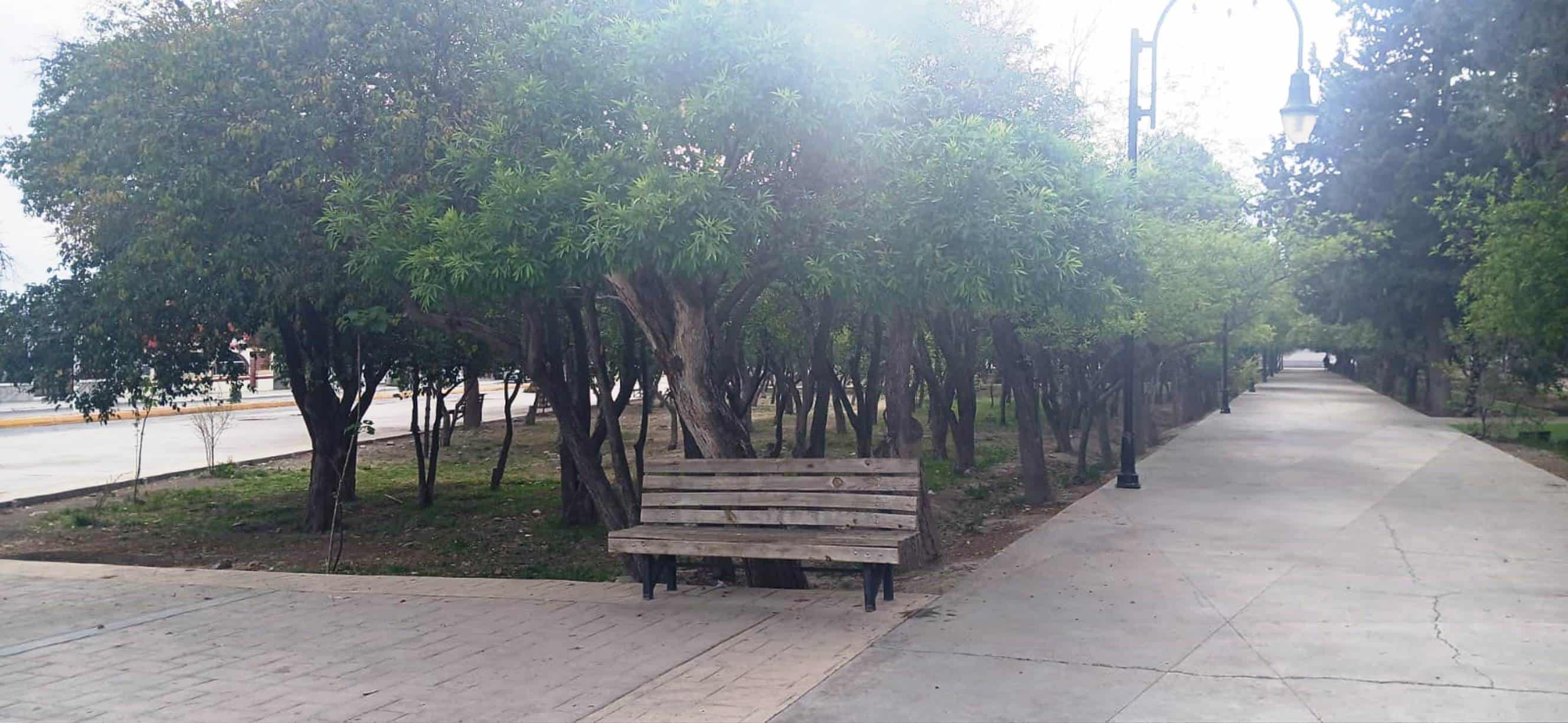Urge atención a La Alameda en Arteaga