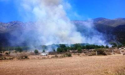 Reportan otro incendio forestal