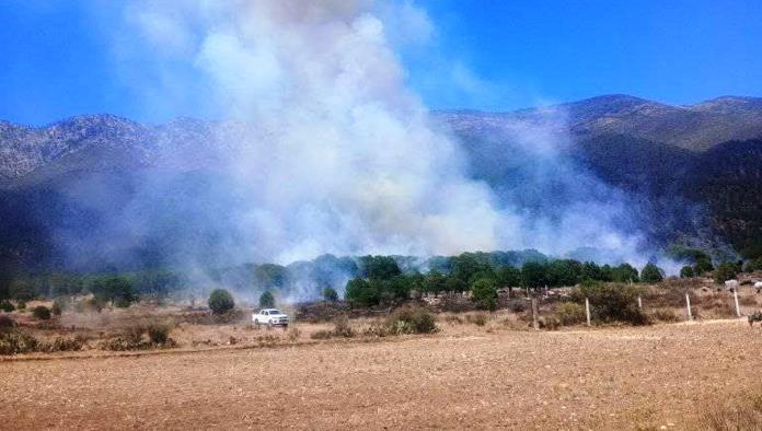 Reportan otro incendio forestal