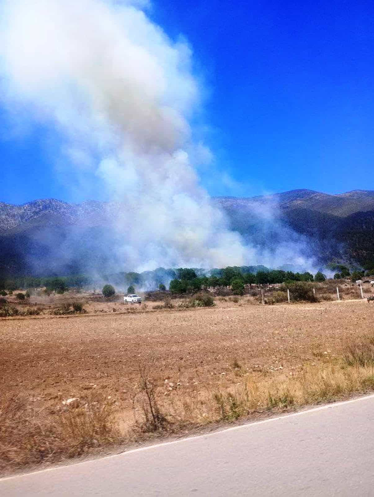 Reportan otro incendio forestal Reportan otro incendio forestal