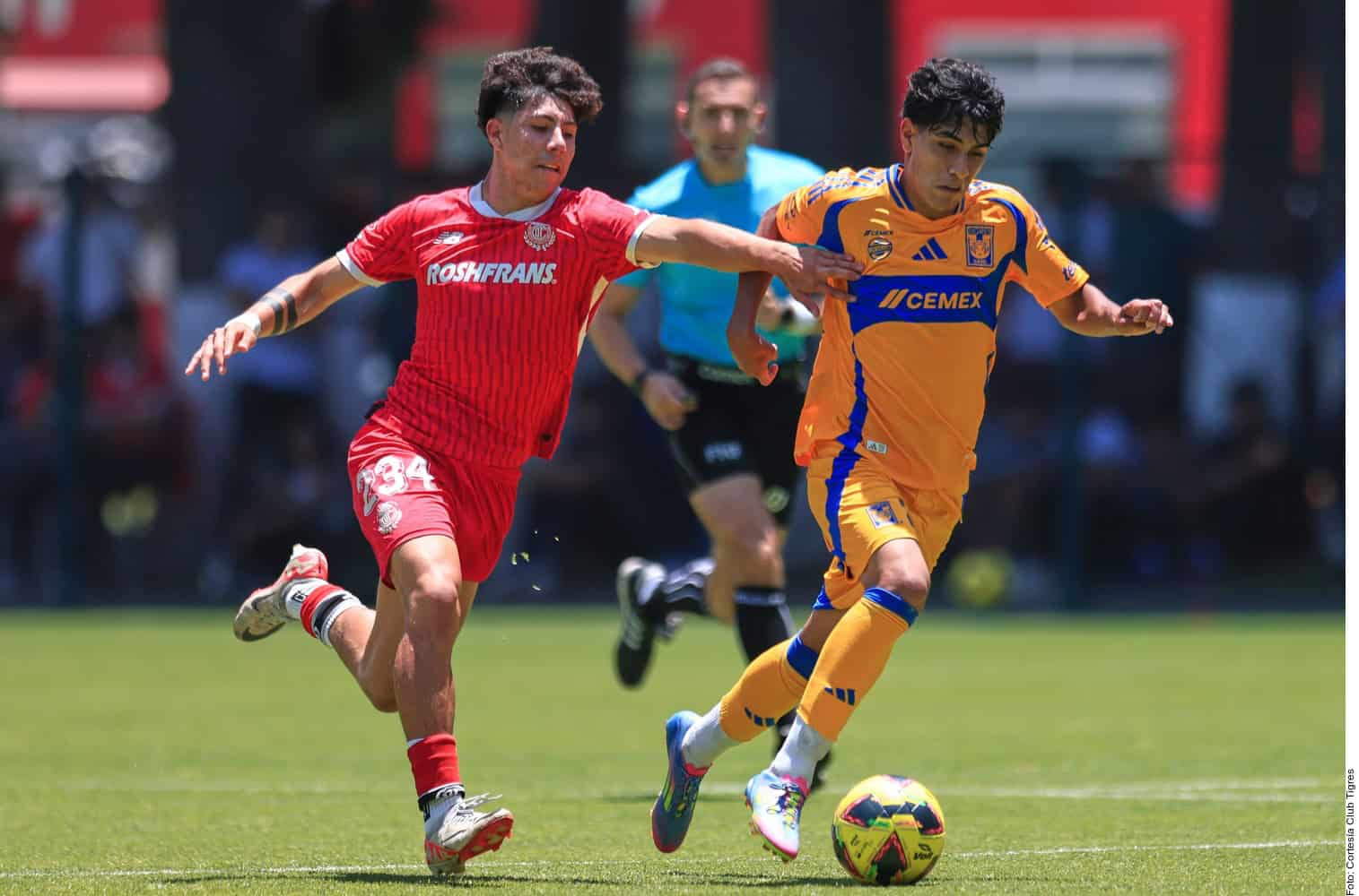 Tigres Sub 19 da paso rumbo al título 