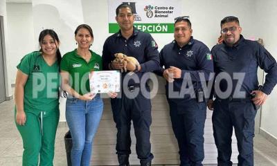 Bulma la cachorrita rescatada del puente ya tiene un hogar