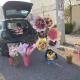 Aumenta venta de flores por Día de las Madres en la región Cinco Manantiales