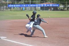 Gallos barrió al sotanero Toros