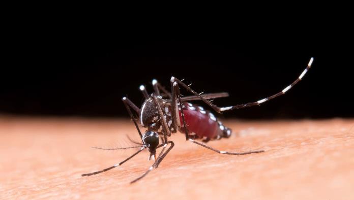 Surge primer caso de dengue hemorrágico