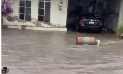 Azota tormenta Nueva Rosita