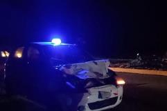 Taxista se impacta contra semoviente