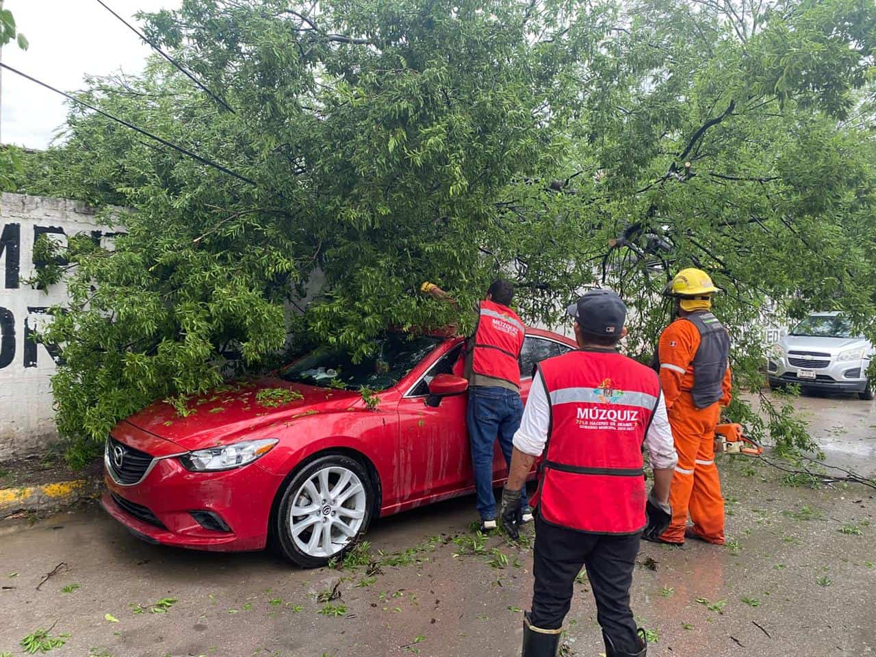 Tormenta causa estragos en Múzquiz