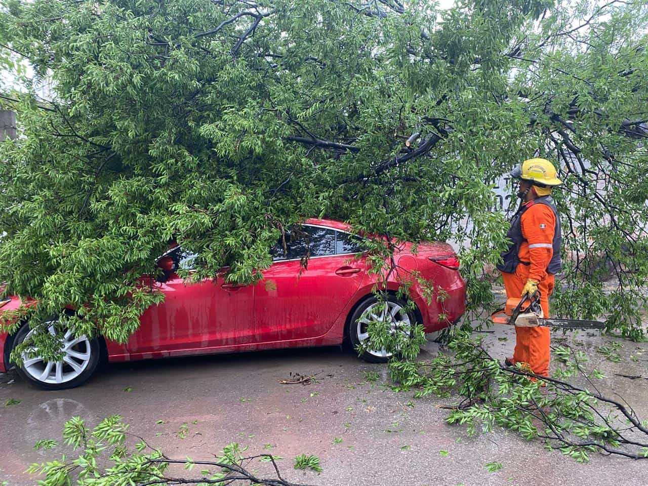 Tormenta causa estragos en Múzquiz