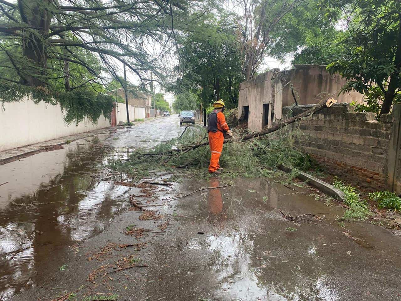 Tormenta causa estragos en Múzquiz