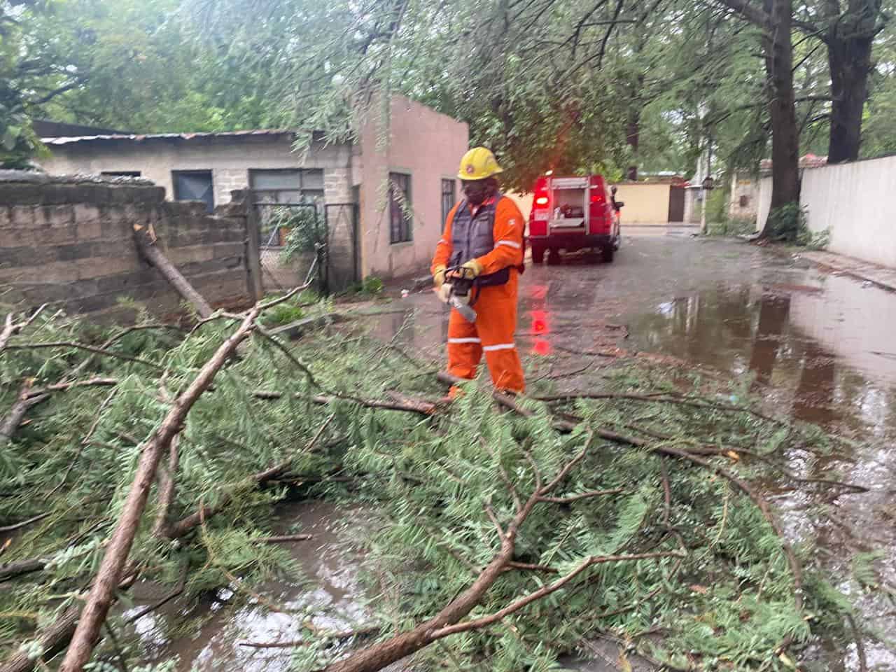 Tormenta causa estragos en Múzquiz