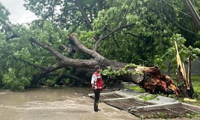 Tormenta causa estragos en Múzquiz