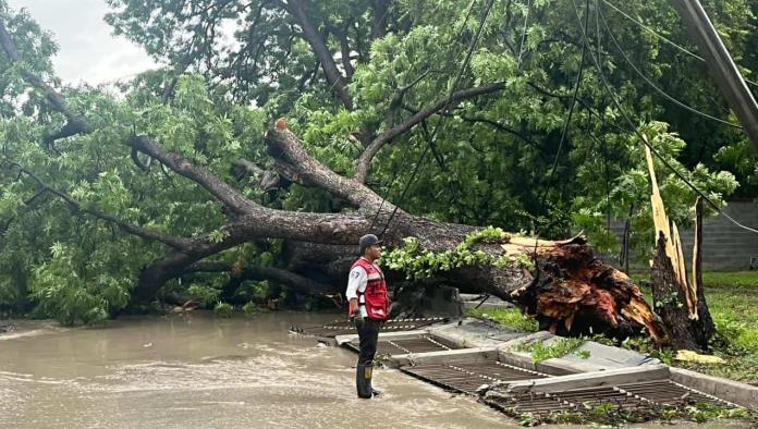 Tormenta causa estragos en Múzquiz