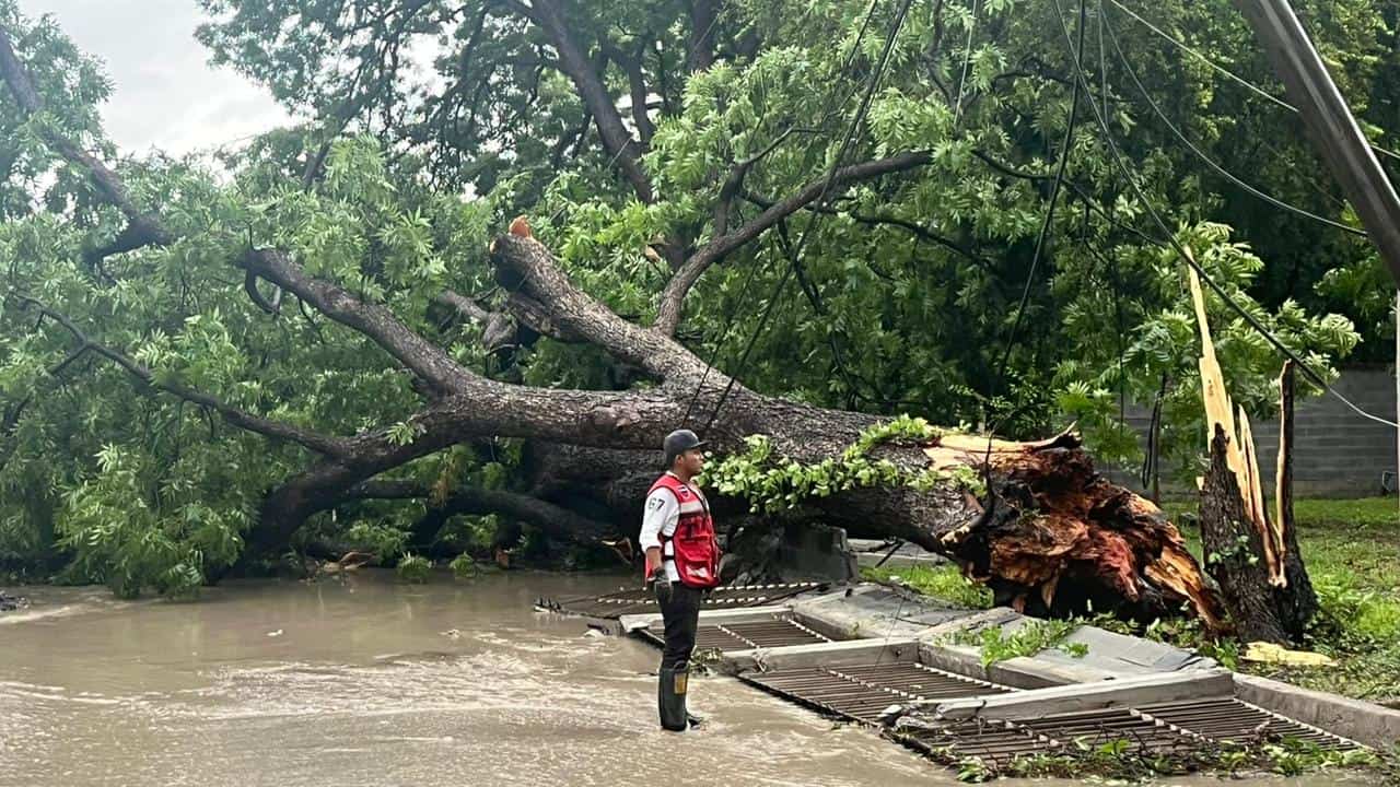 Tormenta causa estragos en Múzquiz