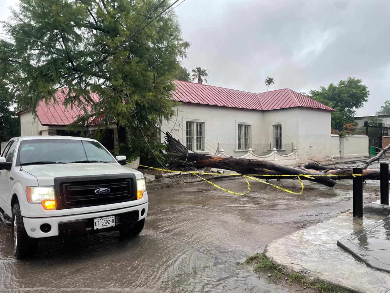 Tormenta causa estragos en Múzquiz
