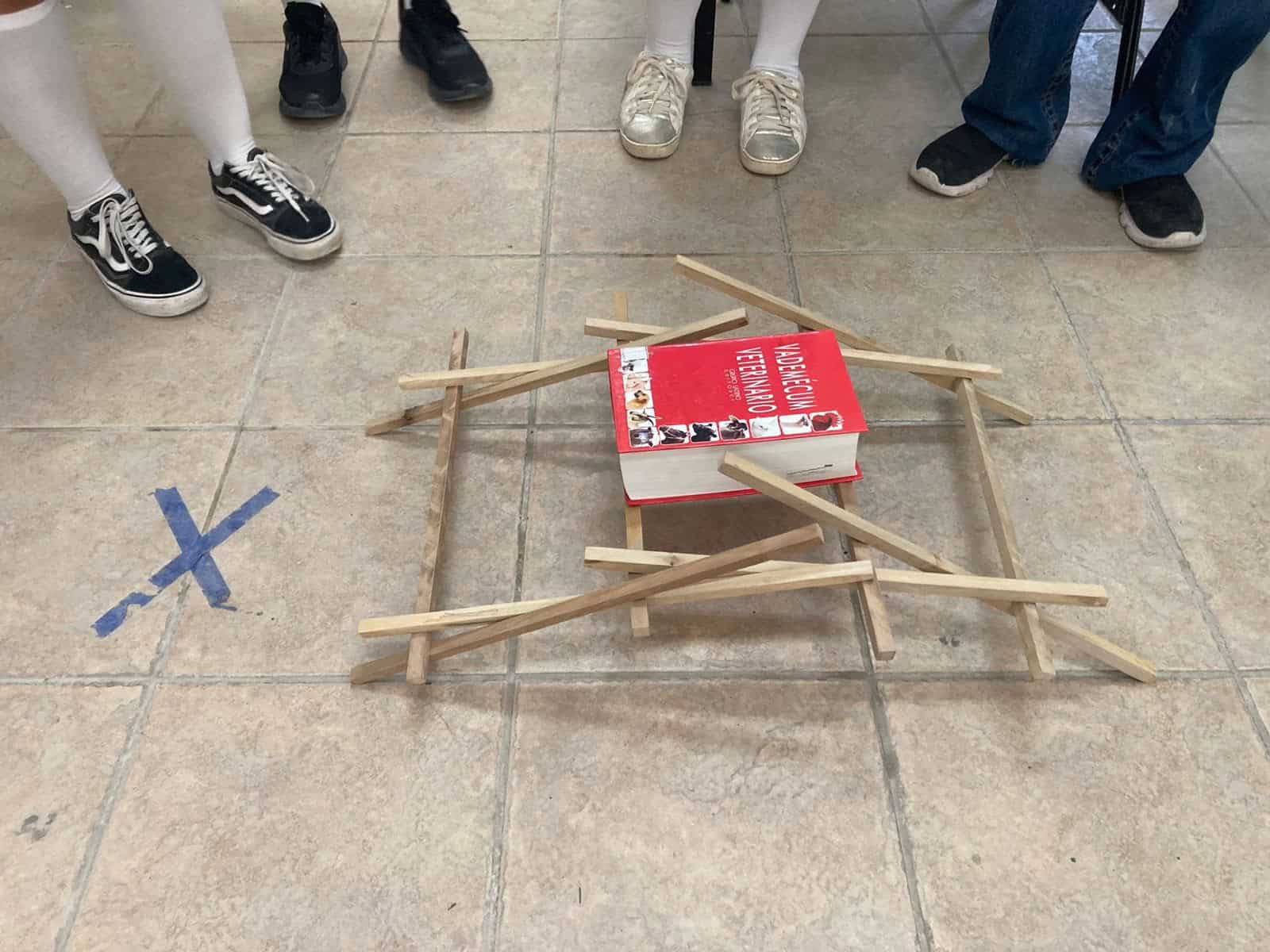Alumnos del CBTA 210 construyen puente de Da Vinci