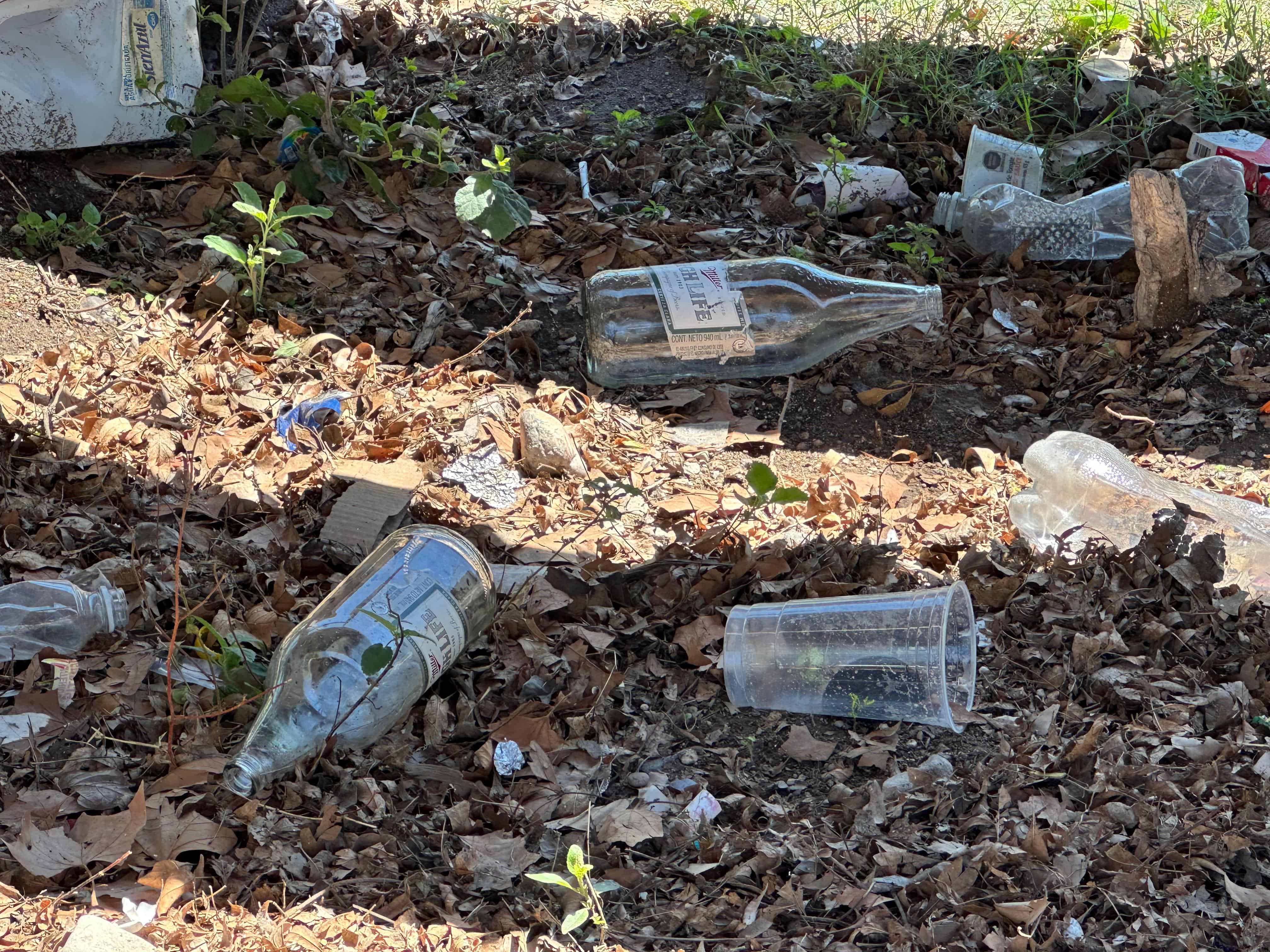 La voz en tu colonia: En el ABANDONO está la colonia ISSSTE en Piedras Negras