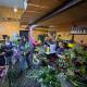 Venta de flores por el Día de las Madres supera expectativas en Piedras Negras