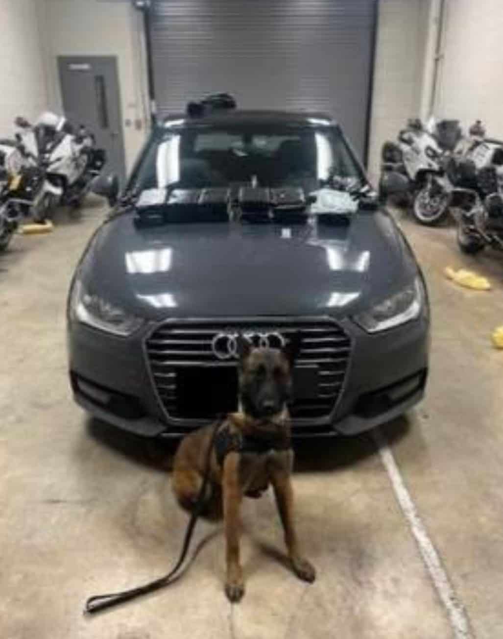 Detienen a joven de 21 años con casi 15 kilos de cocaína en Eagle Pass