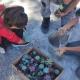 Celebran el 10 de mayo con conciencia ambienta En comunidades de Arteaga