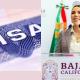 No fuimos notificados: Sheinbaum sobre revocación de visa de Marina del Pilar