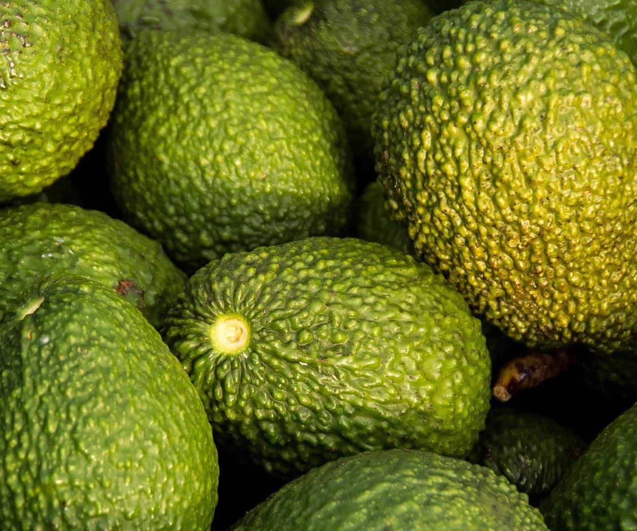 Estos son los productos que no aumentaran de precio
