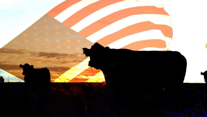 México culpa a Estados Unidos por plaga del gusano barrenador