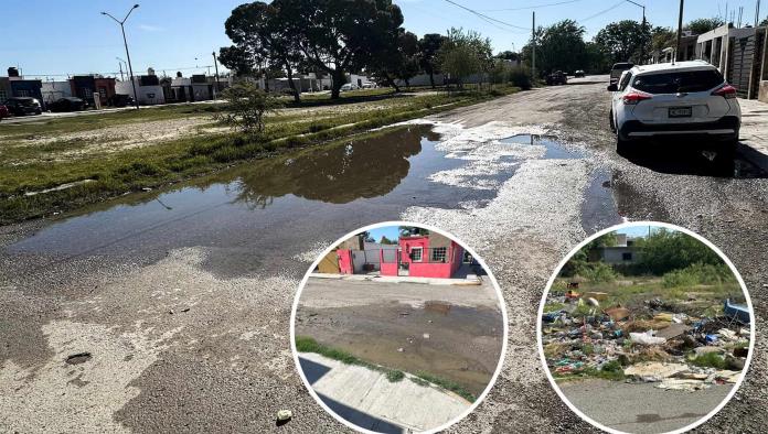 La voz en tu colonia: Colonia Presidentes I, al borde del colapso; exigen limpieza y obras