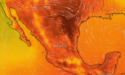 Ola de calor azotará a la región con temperaturas de hasta 45 grados