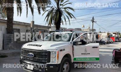 Arde palma en la Cañada