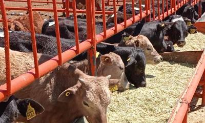 Registran productores, pérdidas de 270 mdp