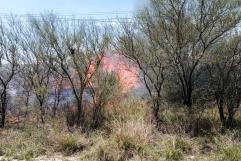 Fuerte incendio arrasa con pastizales entre Allende y Villa Unión