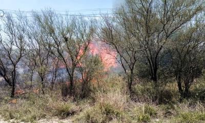 Fuerte incendio arrasa con pastizales entre Allende y Villa Unión