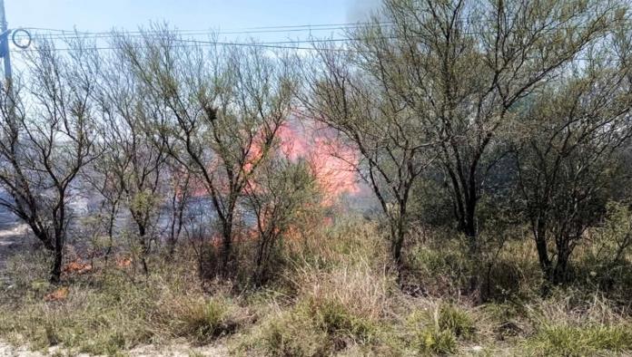 Fuerte incendio arrasa con pastizales entre Allende y Villa Unión