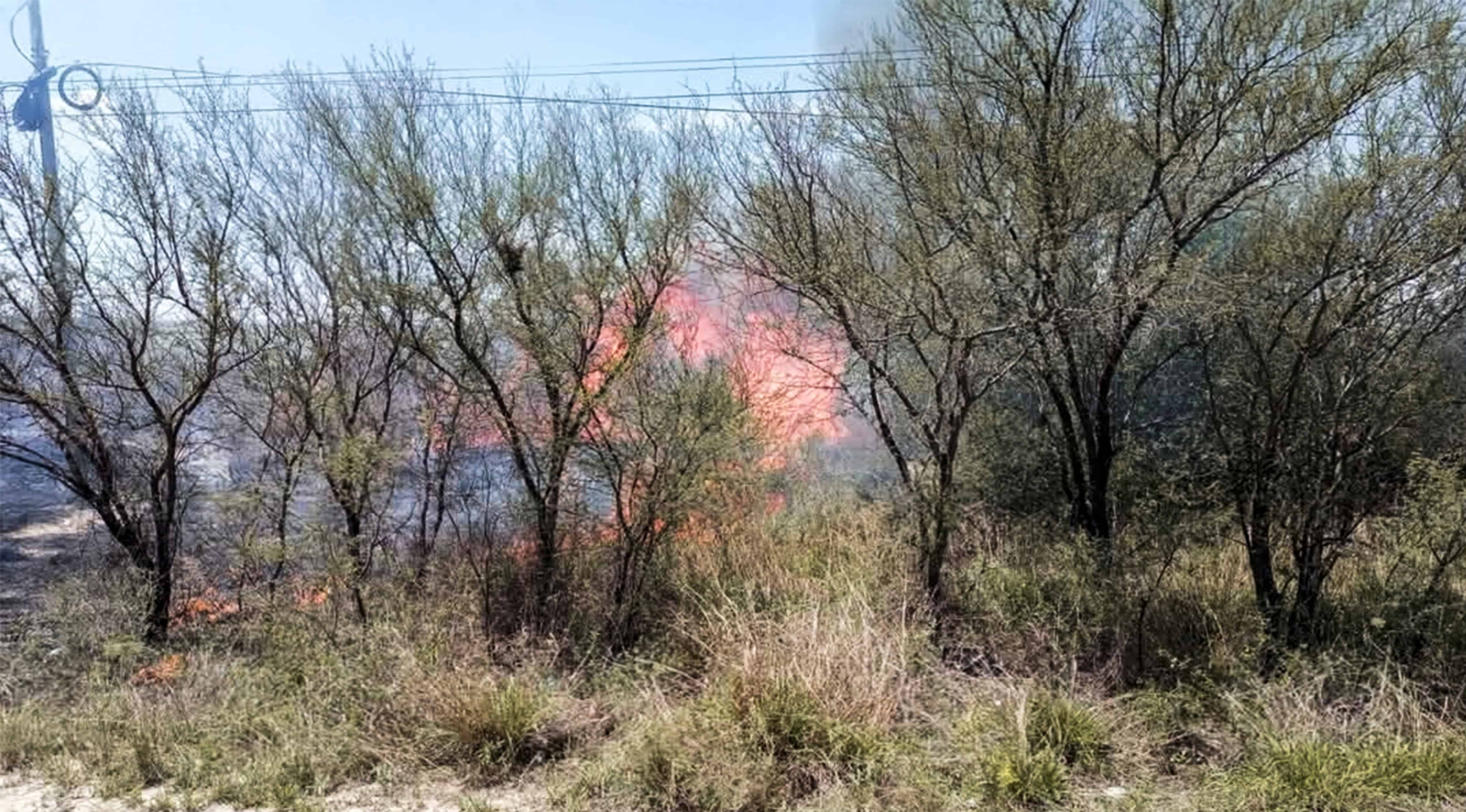 Fuerte incendio arrasa con pastizales entre Allende y Villa Unión