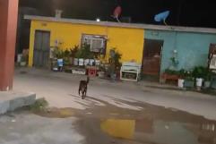 Vecinos De Villa De Agujita Exigen Solución Urgente A Fuga De Aguas Negras