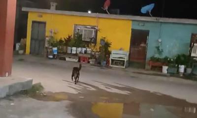 Vecinos De Villa De Agujita Exigen Solución Urgente A Fuga De Aguas Negras