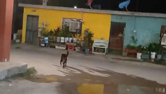Vecinos De Villa De Agujita Exigen Solución Urgente A Fuga De Aguas Negras