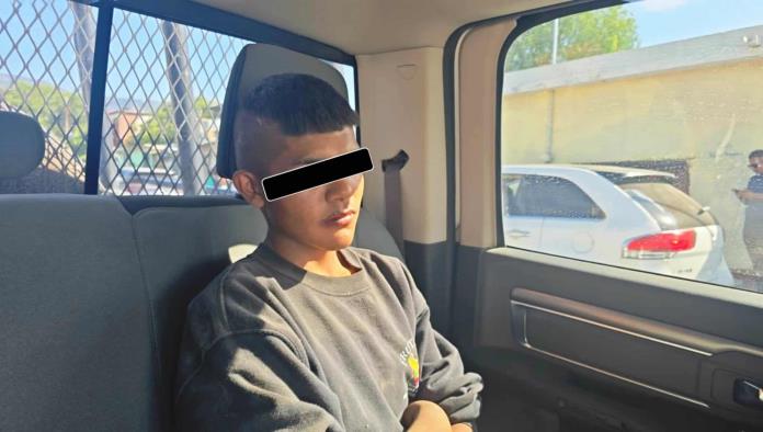 Procesan a adolescente por quemar a cachorros
