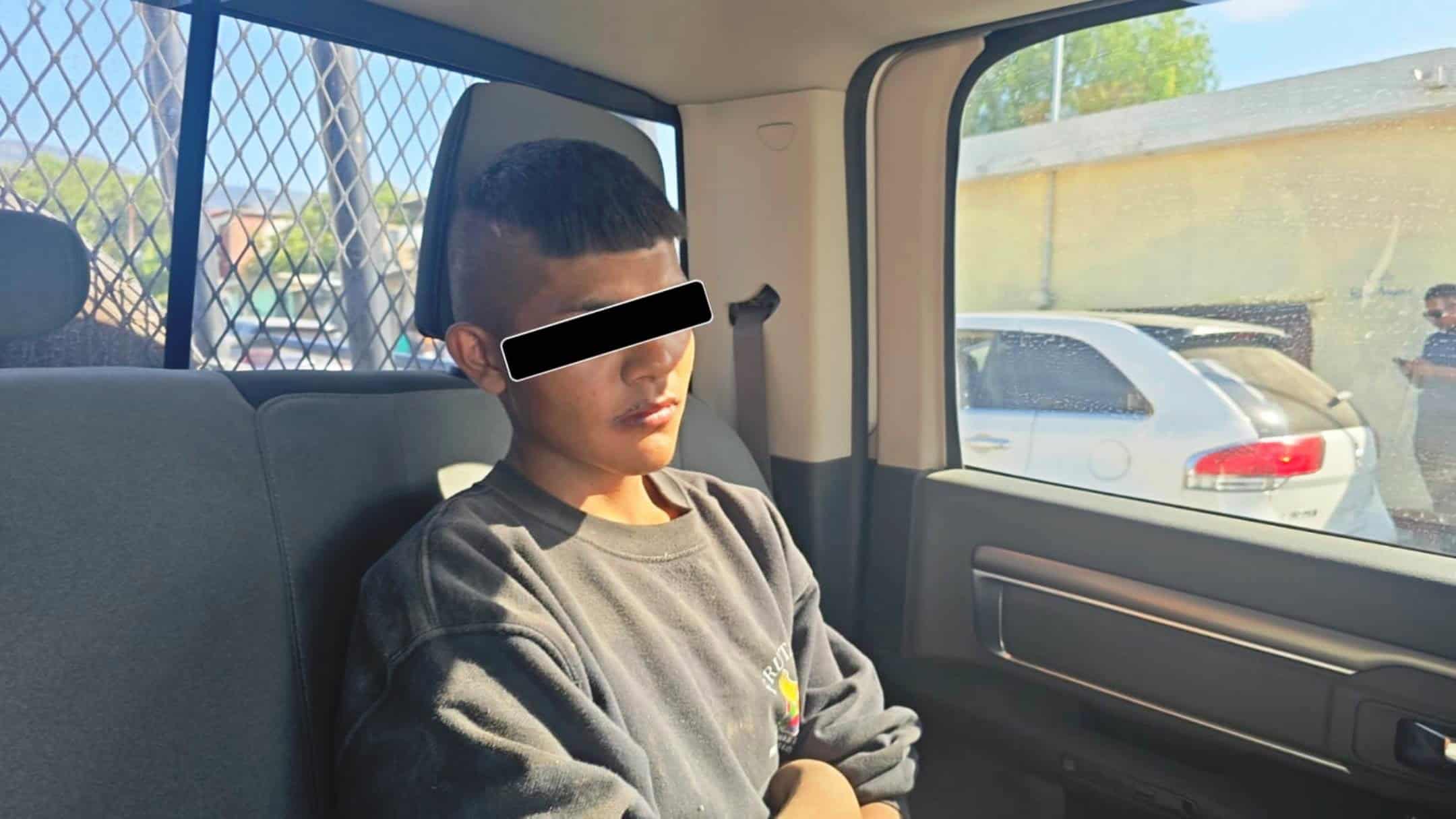 Procesan a adolescente por quemar a cachorros Procesan a adolescente por quemar a cachorros
