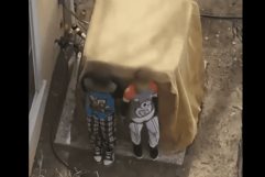 Niños armados son detenidos por la policía de Nuevo México