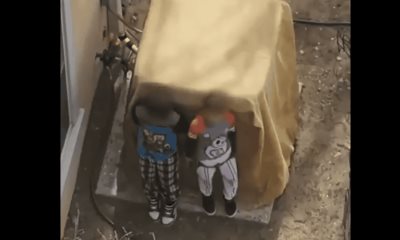 Niños armados son detenidos por la policía de Nuevo México