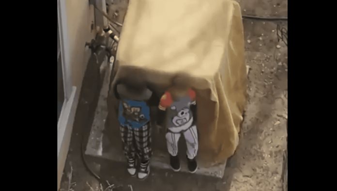 Niños armados son detenidos por la policía de Nuevo México