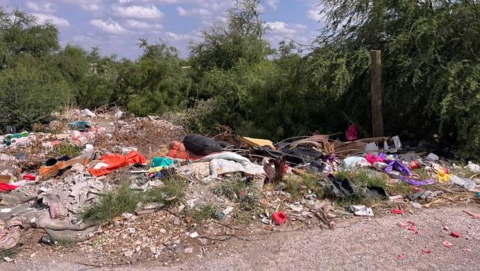 La voz en tu colonia: Total abandono en Altos de Santa Teresa de Ciudad Acuña