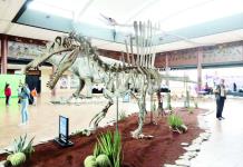 Anuncian ampliación del Museo del Desierto