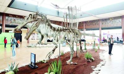 Anuncian ampliación del Museo del Desierto