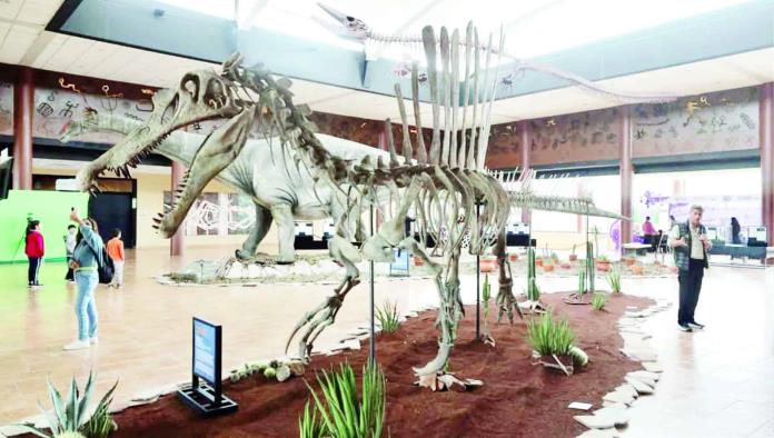 Anuncian ampliación del Museo del Desierto