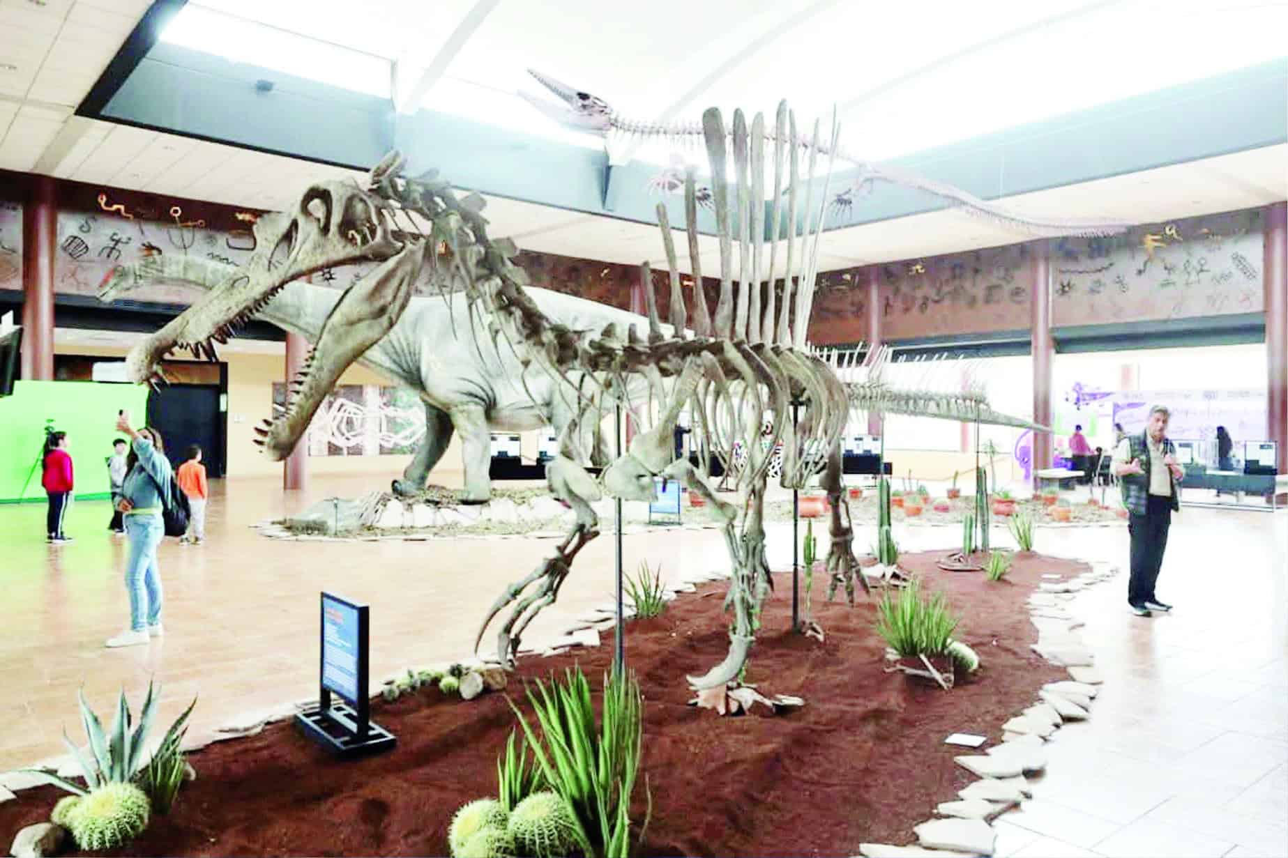 Anuncian ampliación del Museo del Desierto