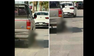 Frontera exige justicia por perro arrastrado en carretera 30
