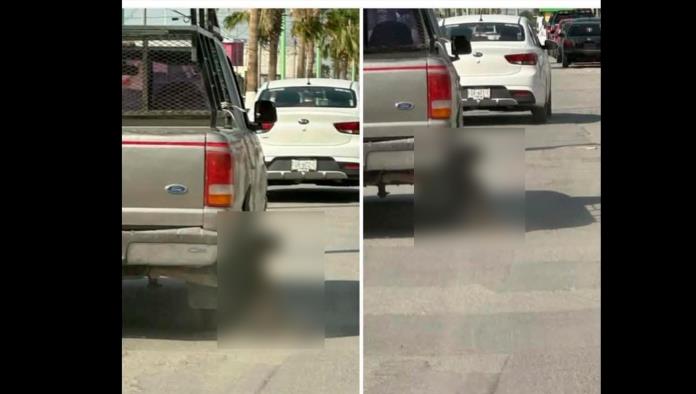 Frontera exige justicia por perro arrastrado en carretera 30